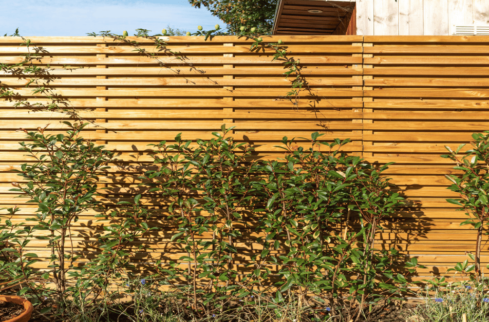 Garden Fencing Service page image